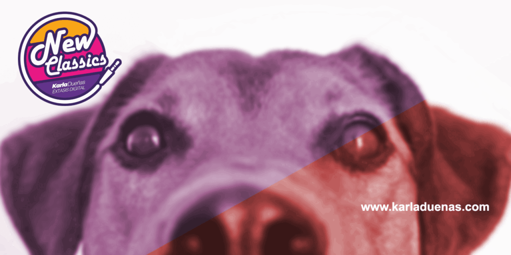 LAS CANCIONES PARA SUS PERROS&GATOS